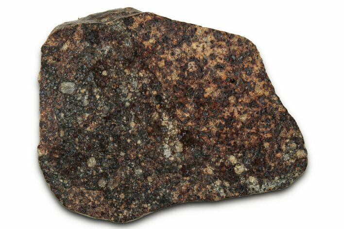 Chondrite Meteorite Section ( g) - NWA #347082